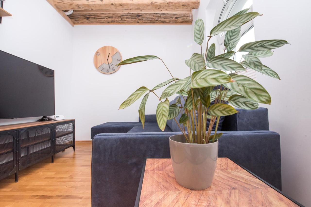 Apartament Nowy Swiat 2 グリヴィツェ エクステリア 写真